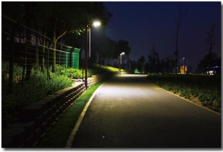 Hot Products Parking Lot 100W 150W IP66 Outdoor Road Lamp Pole LED Street Light