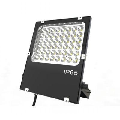 New Design High Quality 50W Narrow Angle Electroplate Lens LED Flood Light