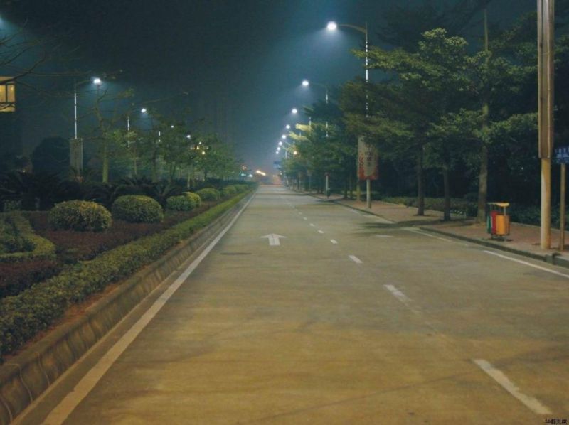 30W 60W 100W 150W 200W LED Cobra Head Solar Street Light for Road High Way