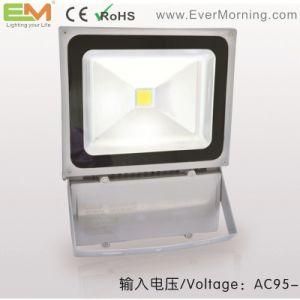 100W IP65 Waterproof CE Certified LED Floodlight