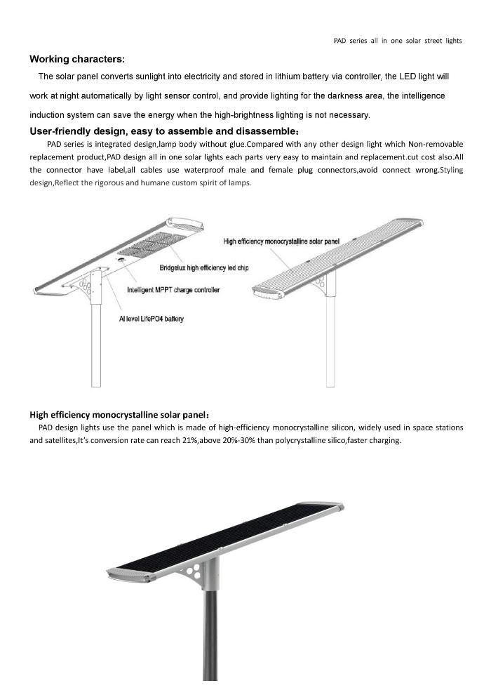 Shenzhen Integrated 30W Solar LED Street Lamp Light High Efficiency Powerful with Solar Panels