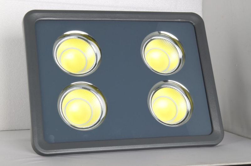 Slim Type IP66 Outdoor COB LED Flood Light 100W