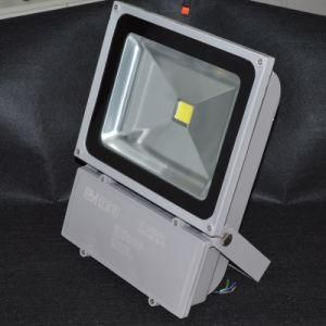 100W IP65 Waterproof CE Approved LED Flood Light