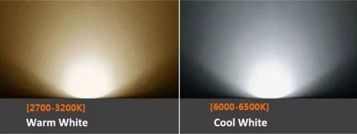High Lumen Bridgelux 10W 20W 30W 50W 100W 150W 200W COB IP65 Waterproof