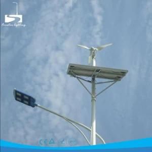 Horizontal-Axis Permanent Magnet Generator Wind Solar Hybrid 60W LED Street Light