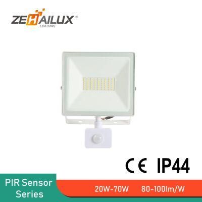 Motion Sensor Floodlight RoHS ERP Adjustable Outdoor LED Floodlight with PIR Sensor