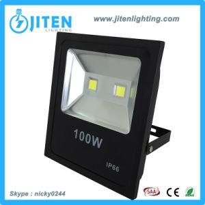 LED Flood Lighting 100W Floodlight COB LED Flood Lamp IP65 Outdoor Light