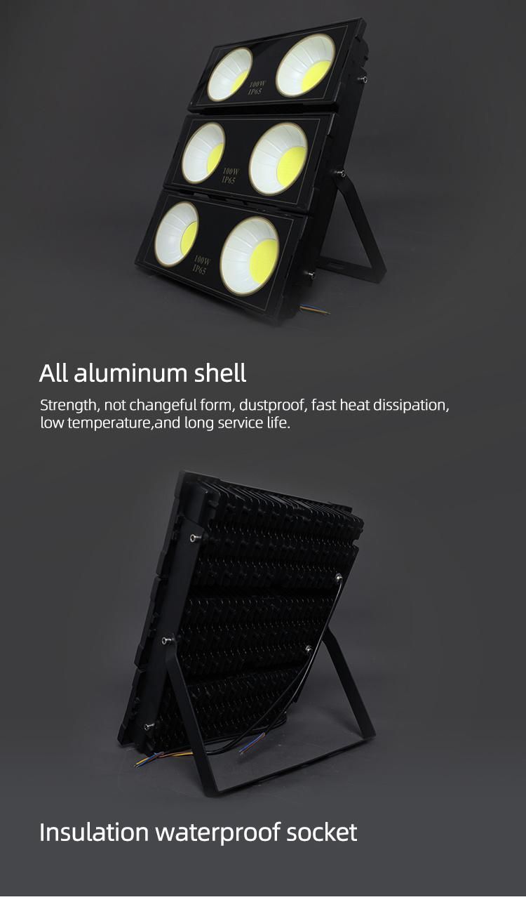 Reflectores 100W 10W Aluminum Parts Ultra Adjustable LED Flood Light