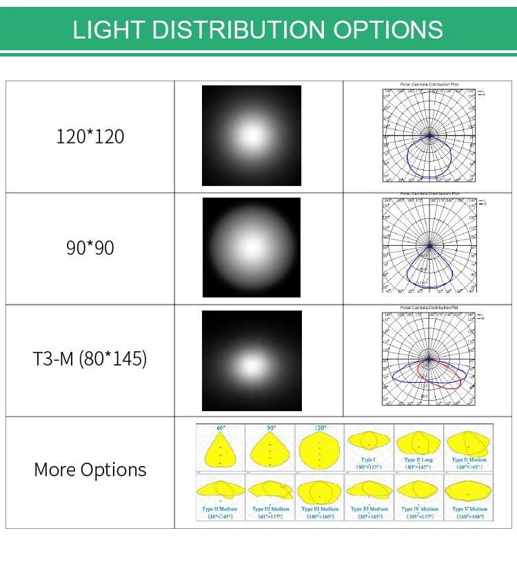 High Quality 100W Outdoor IP66 LED Garden Light