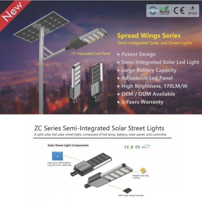 Rygh 60W Split-Type Solar Powered LED Street Lamps CE RoHS IP66