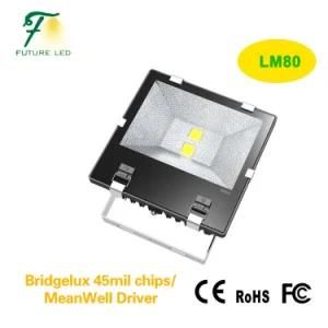 100W Tunnel Light LED Flood Light