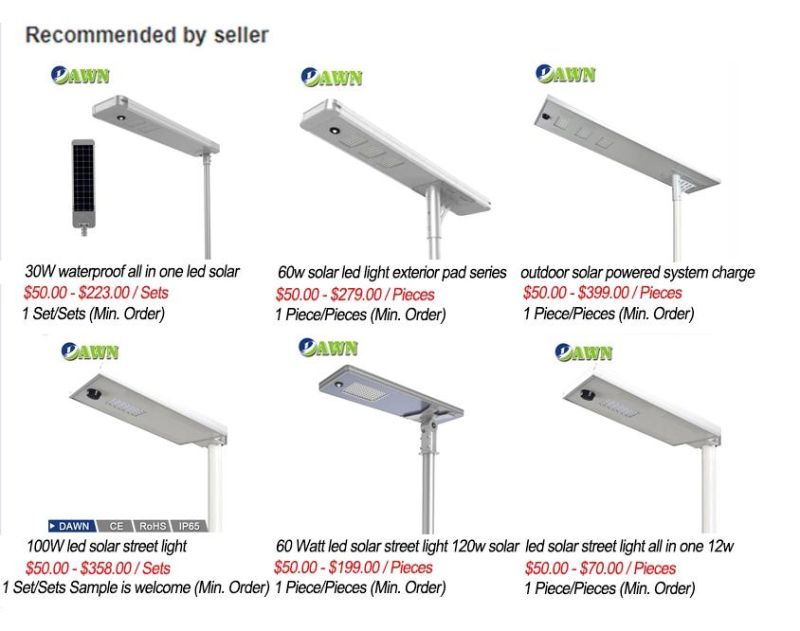 100W Waterproof Outdoor/Garded/Street Lighting Wholesale LED Solar Light
