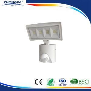20W Ce RoHS GS LED Outdoor Light
