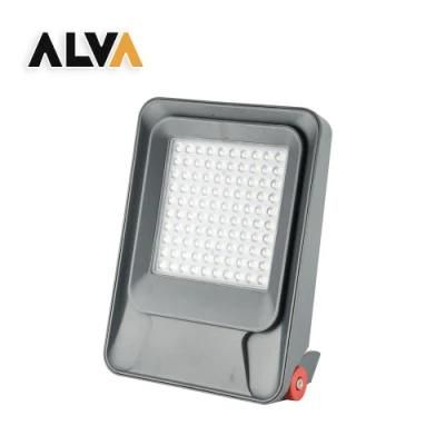 Alva / OEM Energy Saving Chip LED Park Garden Lamp 150W LED Floodlight