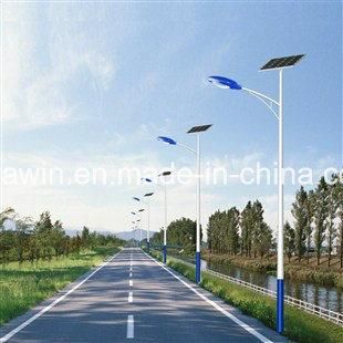 7m 40W LED Solar Street Lighting with 12V or 24V DC System