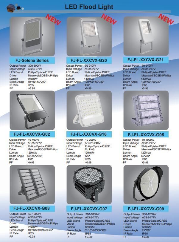 Outdoor Flood Light 100W 150W 200W High Lumen Efficiency 130lm/W LED Tunnel Light