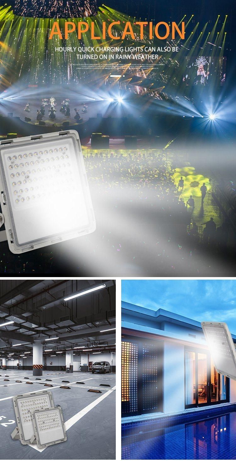 High Quality 300W Wall Lumens Pole Flood Lamp with PCB CE LED Flood Light