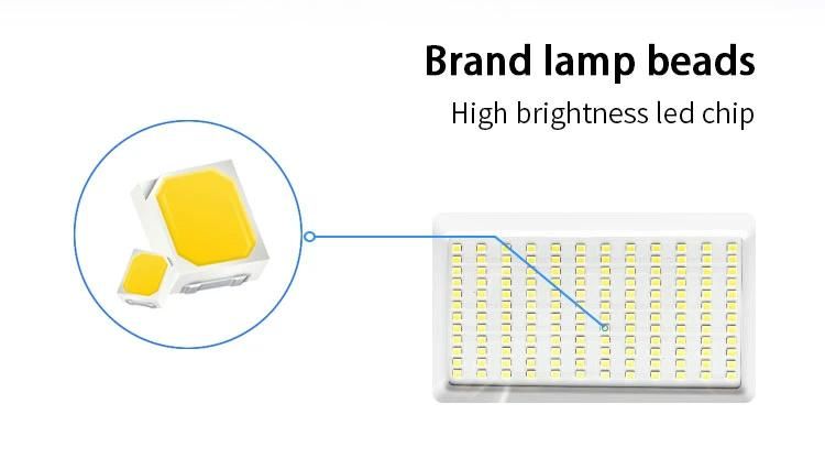 IP65 Outdoor Light 50W 100W LED Flood Light RGB Floodlight