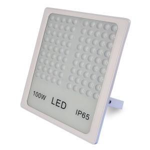 100W IP65 Waterproof Floodlight Outdoor Lamp