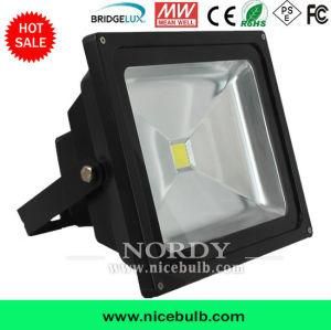 30W/50W/100W LED Flood Light, Outdoor LED Floodlight