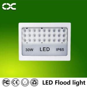 30W Project Lamp LED Spot Lighting Flood Light