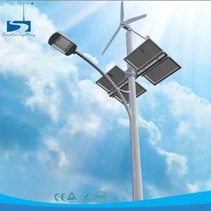 30watts Landscape Permanent Magnet Wind Driven Generator Solar LED Street Light