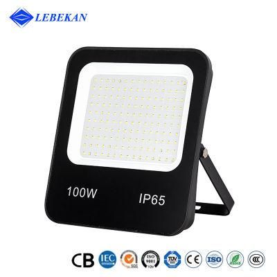 Lebekan 50W 100W 150W 200W Outdoor COB SMD LED Flood Tunnel Light LED Floodlight