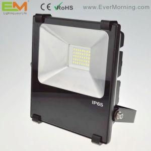 30W IP65 Waterproof High Power LED Floodlight with CE
