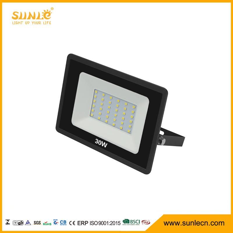 Two Color Ce Waterproof 30W LED Flood Light for Outdoor Lighting