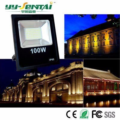 20W Outdoor Waterproof LED Floodlight (YYST-TGDTP2-20W)