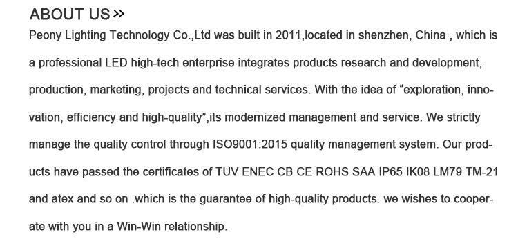 TUV CB Intelligent Lora Control System 2019 New Design Shenzhen Manufacture Dimmable LED Street Light