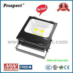 100W Outdoor LED Flood Light CREE Chip Mean Well Driver