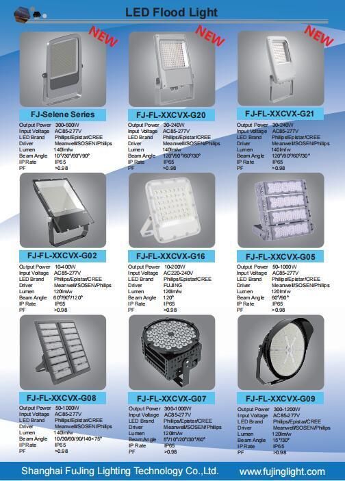 High Quality IP65 Outdoor Lighting 50W 100W LED Flood Light Project Light