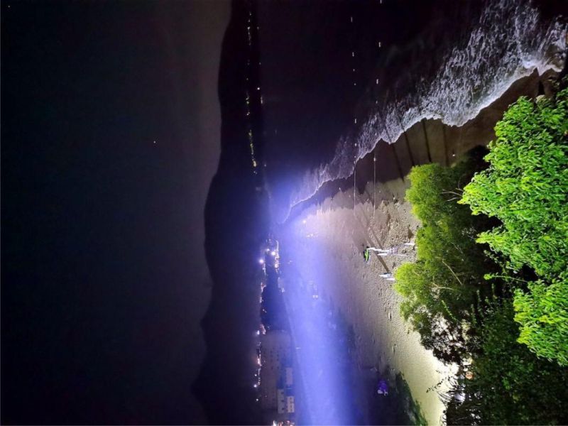 Long Distance 2000m LED Flood Lights Spotlight High Power LED Osram LED Marine Searchlight 500W (IP68)