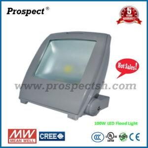 10W 30W 50W 100W Outdoor LED Flood Light CREE Chip Mean Well Driver