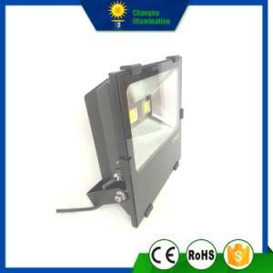 100W New Style LED Flood Light