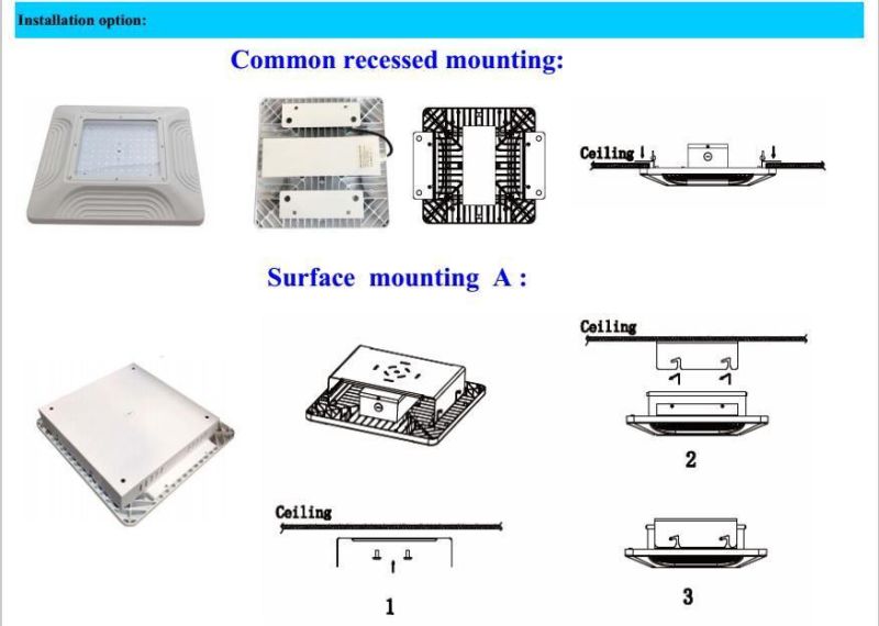 60W 80W 100W 120W 150W LED Light for Canopy