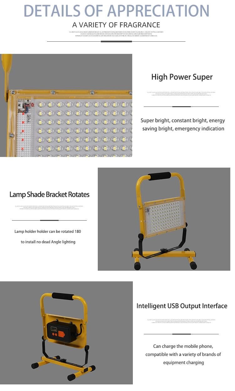 2021 High Quality300W 12V 30W Sport Flood Lamp Modular IP65 LED Flood Light