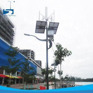 Luminaire Lamppost 24V 60W Wind Solar Hybrid Street Light