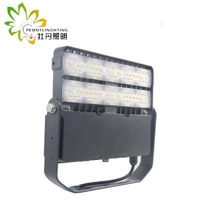 High Photosynthetic Efficiency 100W LED Flood Light with 140-150lm/W SMD Floodlight