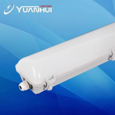 IP65 IP66 LED Light