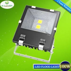 CE&RoHS Bridgelux Chips 100W Outdoor LED Lighting