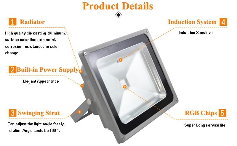 Outdoor IP65 Waterproof Project Reflector RGB 50W LED Floodlight 100W LED