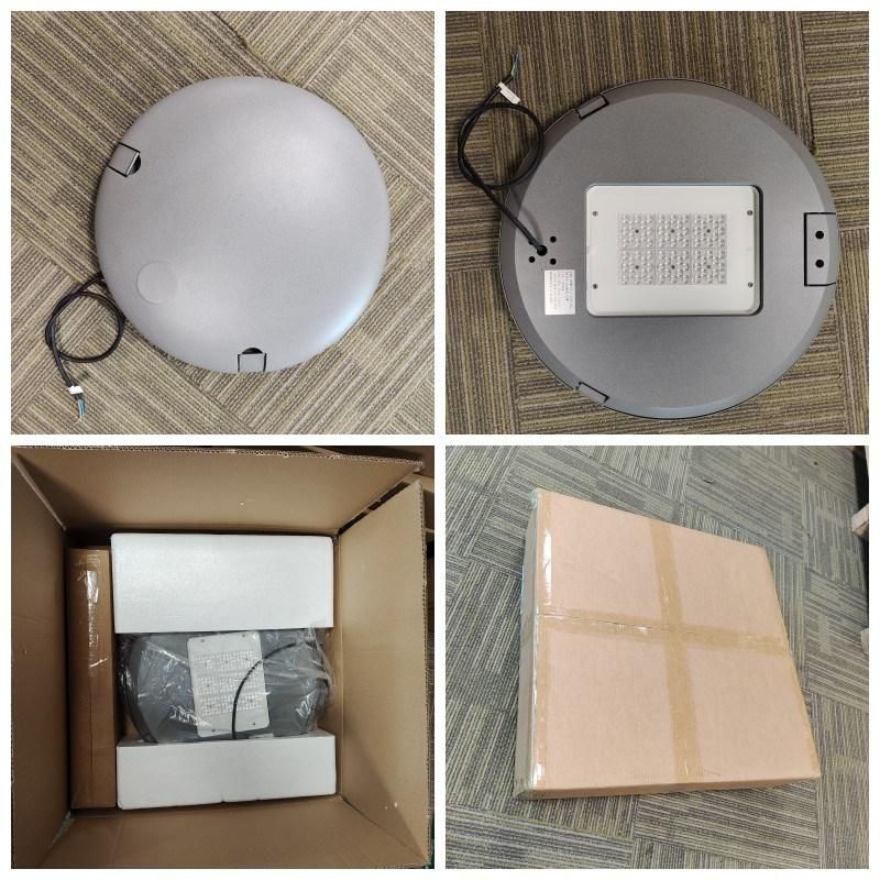 Outdoor IP65 Post Top Public LED Garden Light