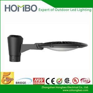 LED Garden Light (HB-035-05-80W)