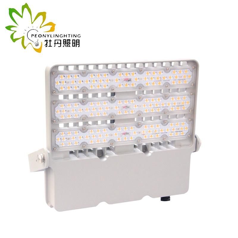 High Photosynthetic Efficiency 150W LED Flood Light with 140-150lm/W SMD Floodlight