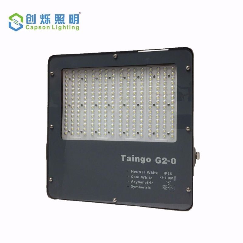 Project LED Lighting 3years Warranty Outdoor Flood Light IP65 Floodlight (CS-YHTG1-200)