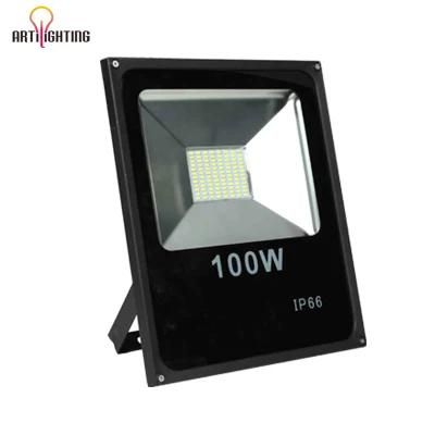 Ultra-Thin Aluminum Outdoor Projector 200 Watt Spot LED Flood Lights LED SMD Floodlight 100W