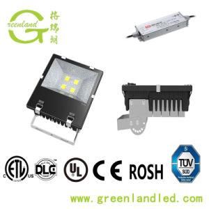Ce RoHS Approved High Lumen LED Flood Light 100-140lm/W &#160; Meanwell Driver