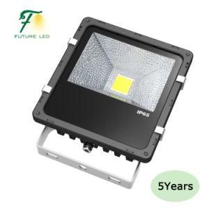 Dimmable 5 Years Warranty 60W LED Flood Light